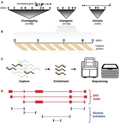 Targeted, High-Resolution RNA Sequencing of Non-coding Genomic Regions Associated With Neuropsychiatric Functions